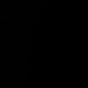 Meet your Posher, Valerie